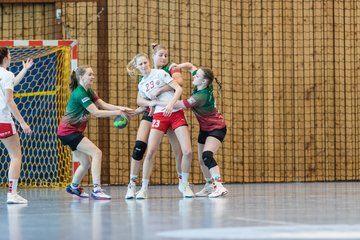 Bild 46 - F HSG Kremperheide/Muensterdorf - Slesvig IF 2 : Ergebnis: 30:26